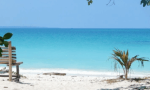 Untitled design - 2025-11-27T144534.290